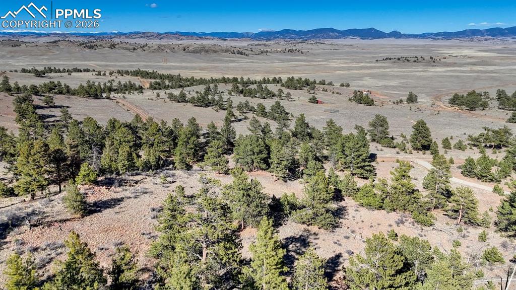 Image 15 of 22: Aerial View