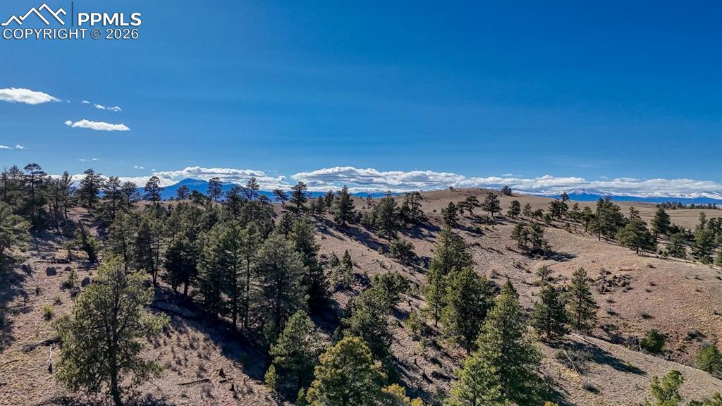 Image 6 of 22: View
