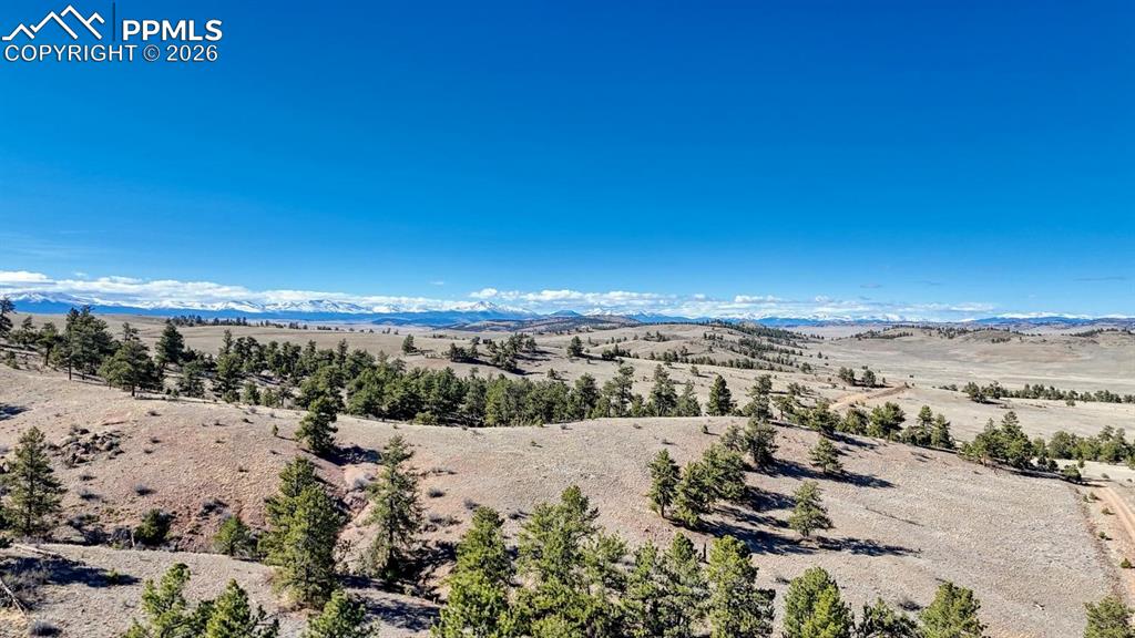 Image 7 of 22: Aerial View