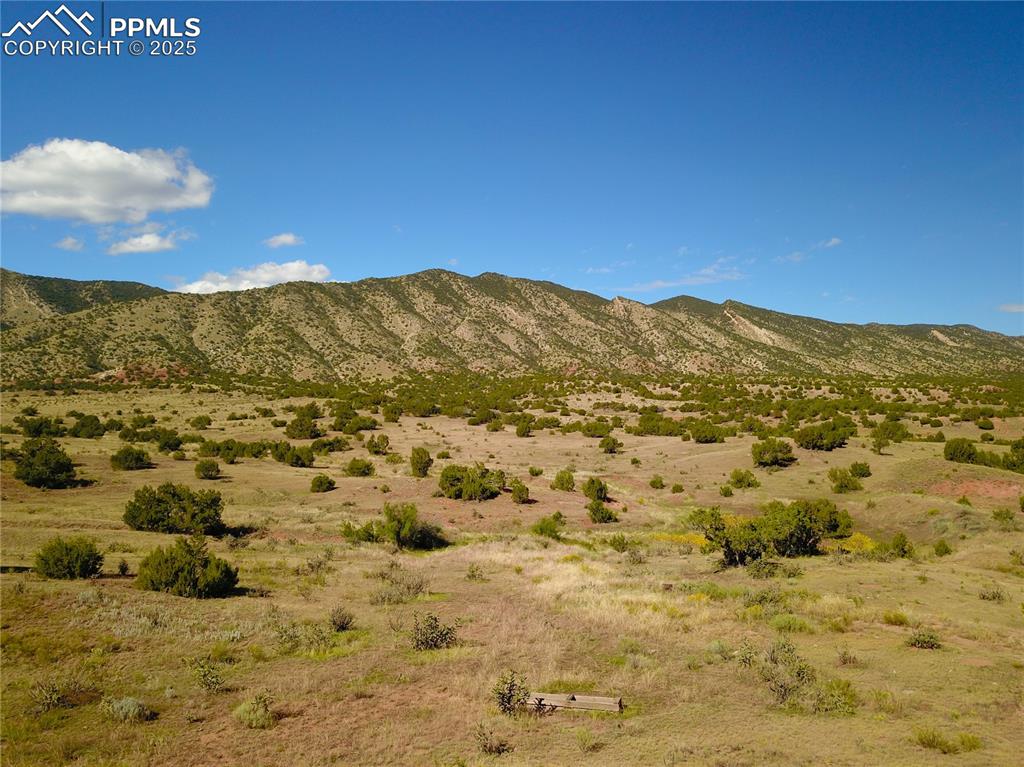 Image 12 of 25: View