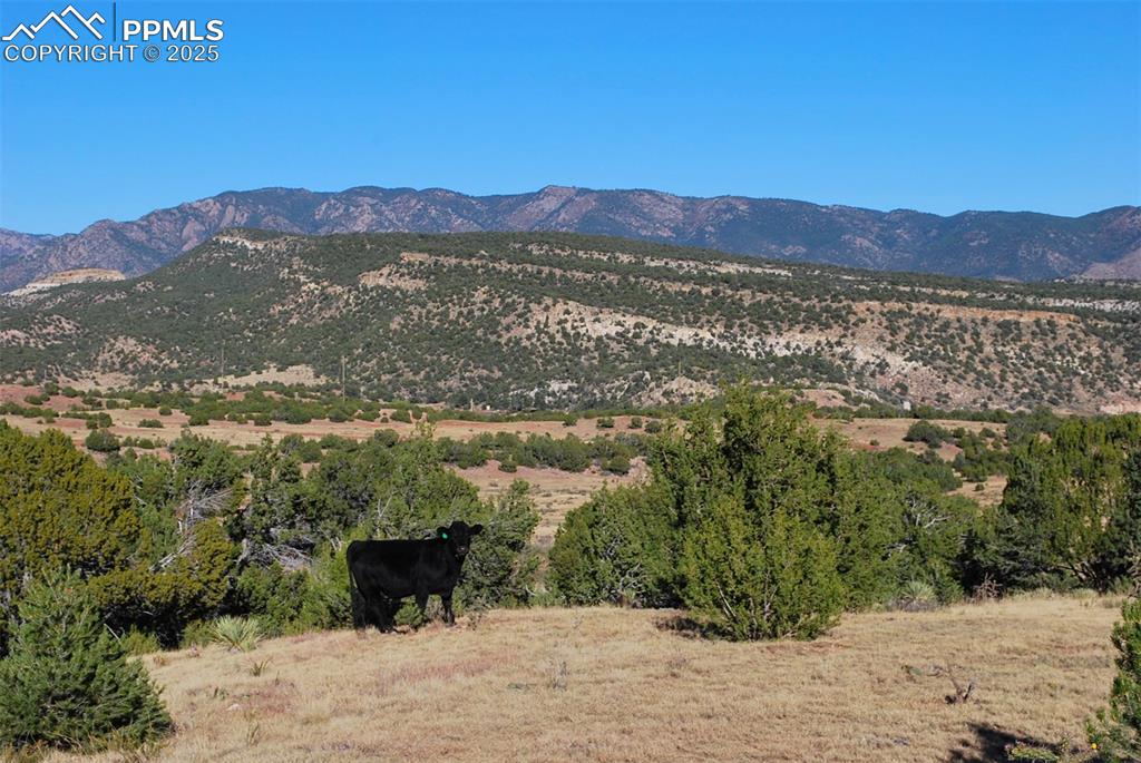 Image 24 of 25: View