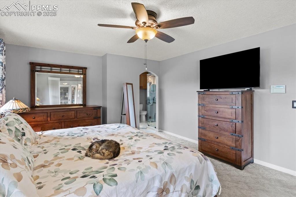 Image 18 of 49: Bedroom with carpet flooring, a textured ceiling, baseboards, arched walkwa