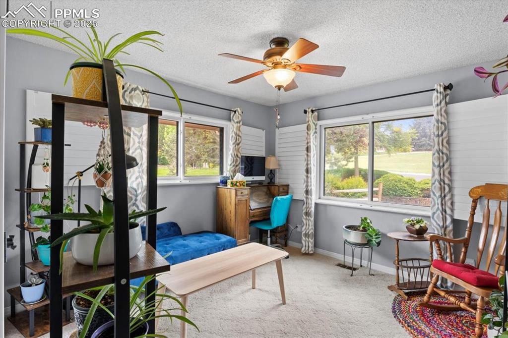 Image 20 of 49: Home office with ceiling fan, a textured ceiling, carpet flooring, and base
