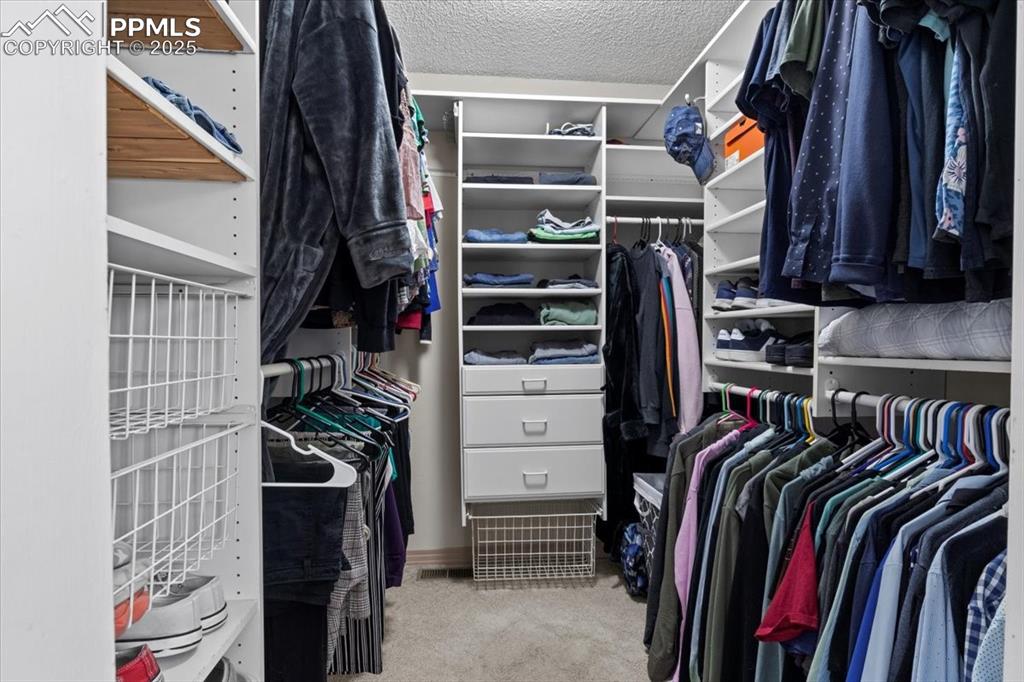 Image 22 of 49: Spacious closet with carpet flooring