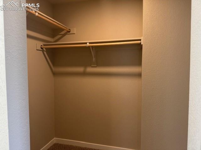 Image 6 of 8: Walk in closet featuring carpet flooring