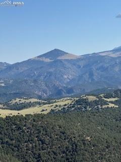 Image 2 of 5: View of mountain backdrop featuring a heavily wooded area