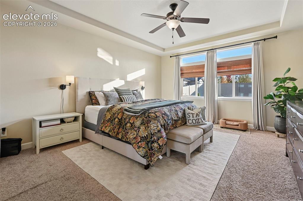 Image 14 of 47: Tray ceiling with a ceiling fan and integrated lighting