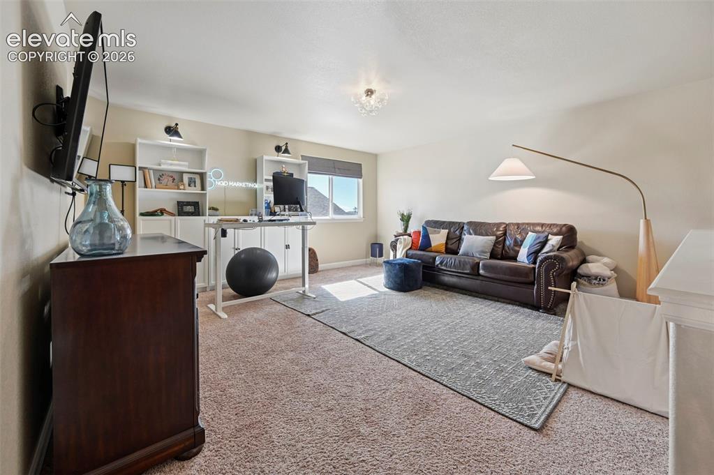 Image 26 of 46: Neutral-toned room featuring wall-to-wall carpeting, built-in white shelvin