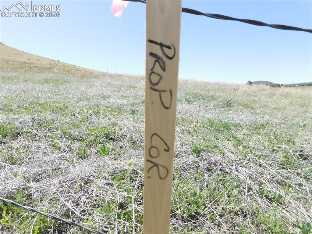 Image 13 of 50: No Description Available