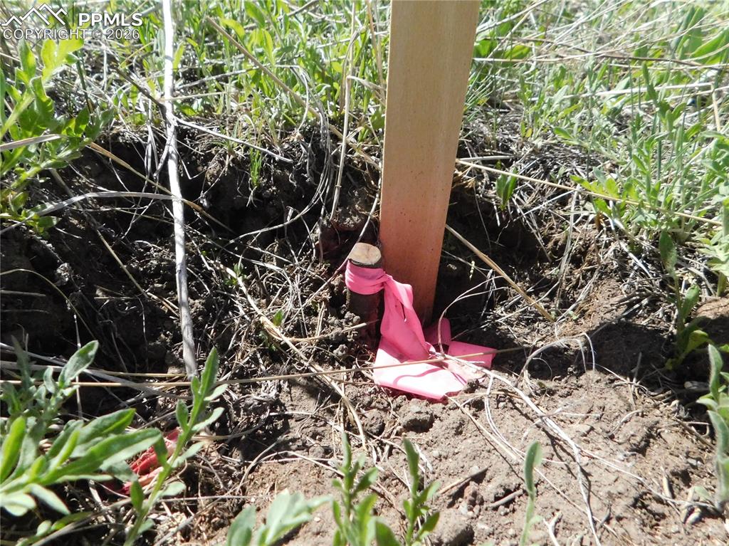 Image 14 of 50: No Description Available