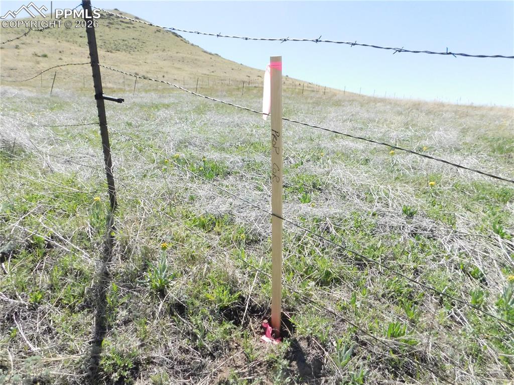 Image 15 of 50: No Description Available