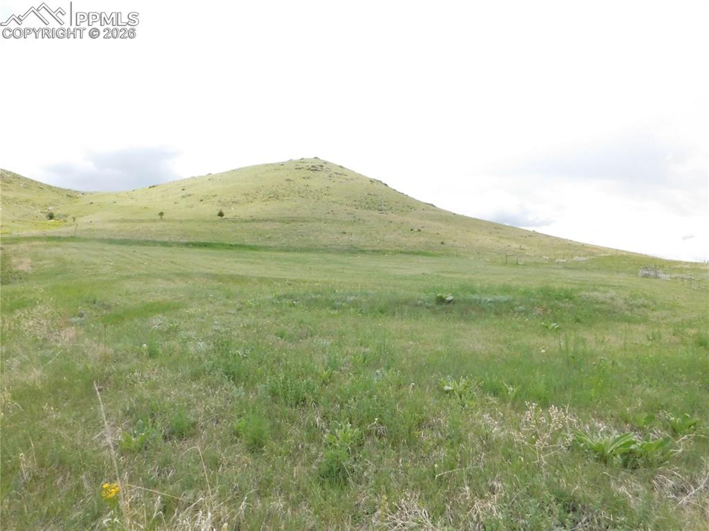 Image 2 of 50: No Description Available