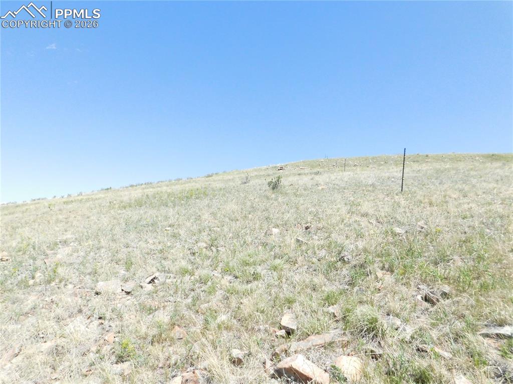 Image 44 of 50: No Description Available