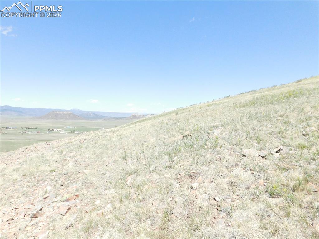 Image 45 of 50: No Description Available