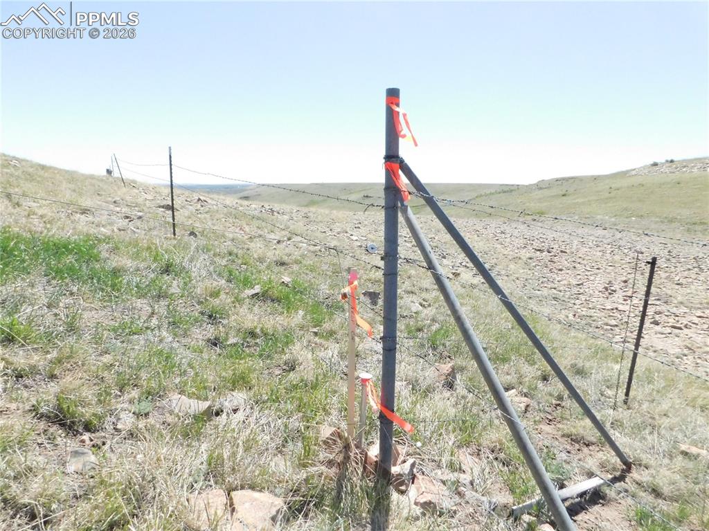 Image 47 of 50: No Description Available