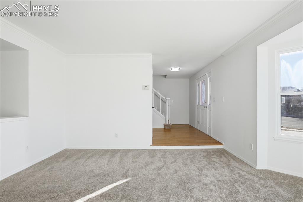Image 8 of 42: Spare room featuring light carpet, ornamental molding, plenty of natural li