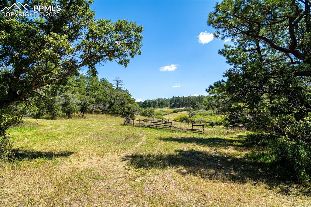 Image 12 of 18: View of yard featuring a rural view and a view of trees