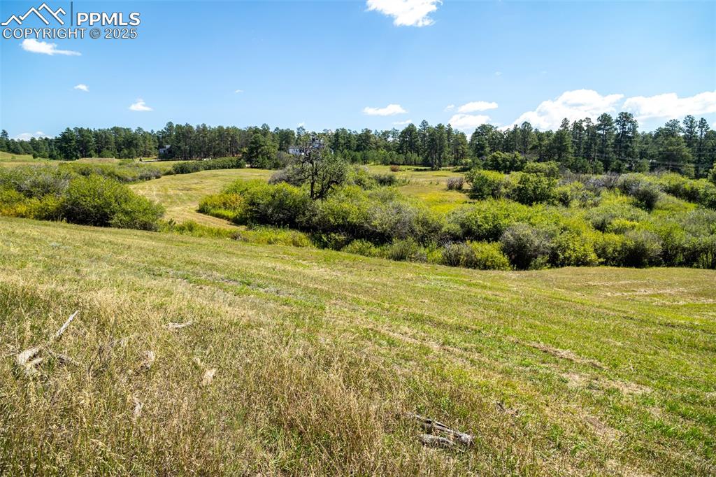 Image 15 of 18: View of undeveloped land featuring rural landscape