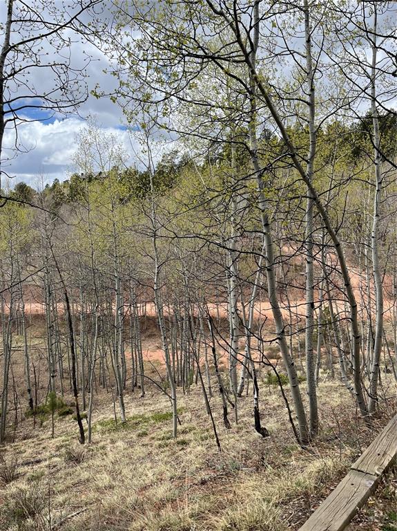 Image 3 of 10: Sits above the road with nice Aspen grove between for a little privacy