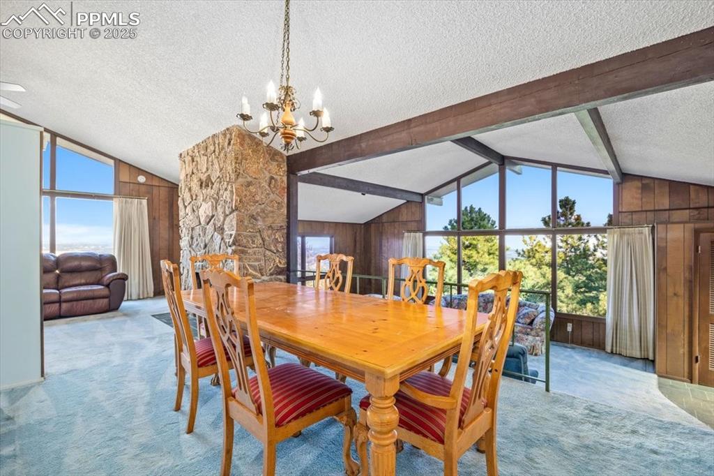 Image 13 of 38: Dining area featuring wood walls, a textured ceiling, carpet floors, and a