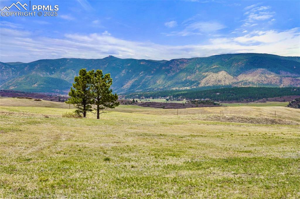 Image 4 of 12: View
