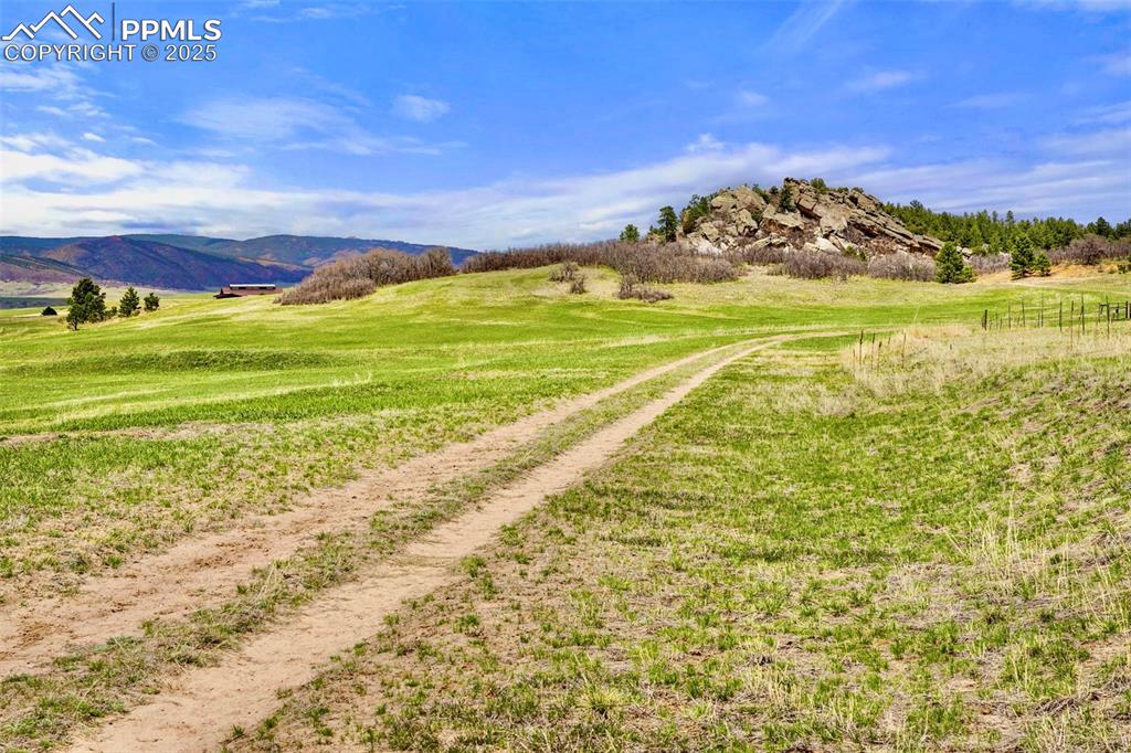 Image 9 of 12: View