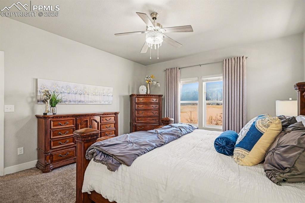 Image 13 of 37: The main-level primary bedroom is a serene retreat, featuring soft carpetin