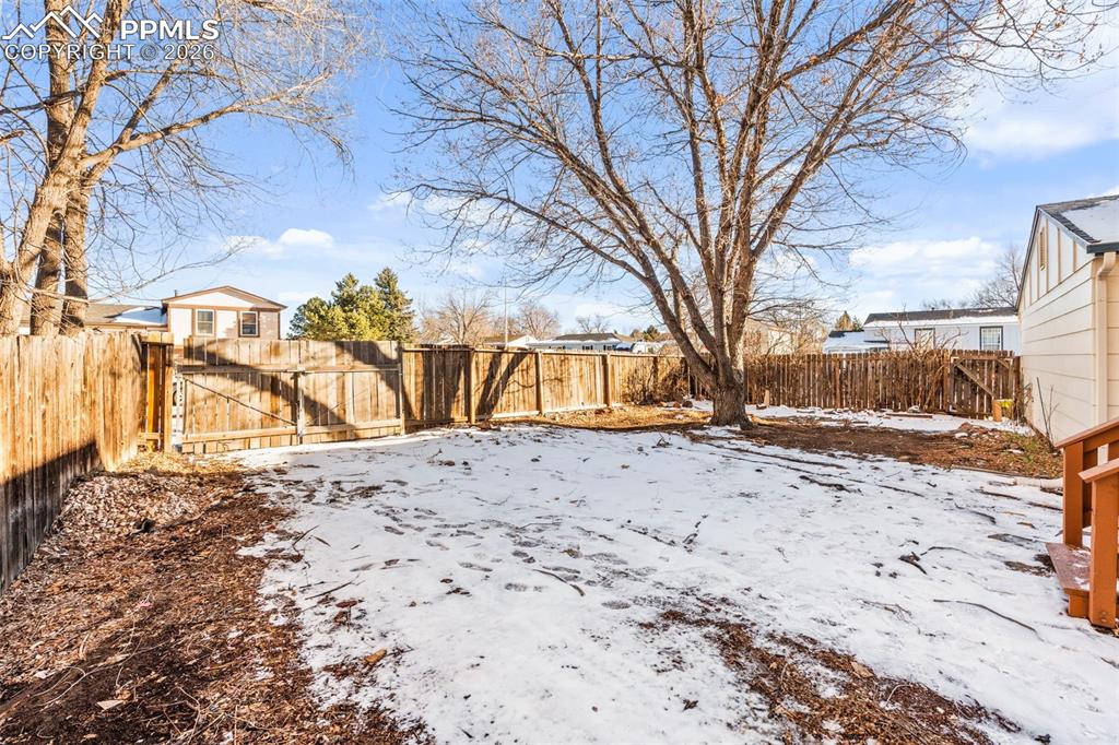 Image 35 of 41: Yard