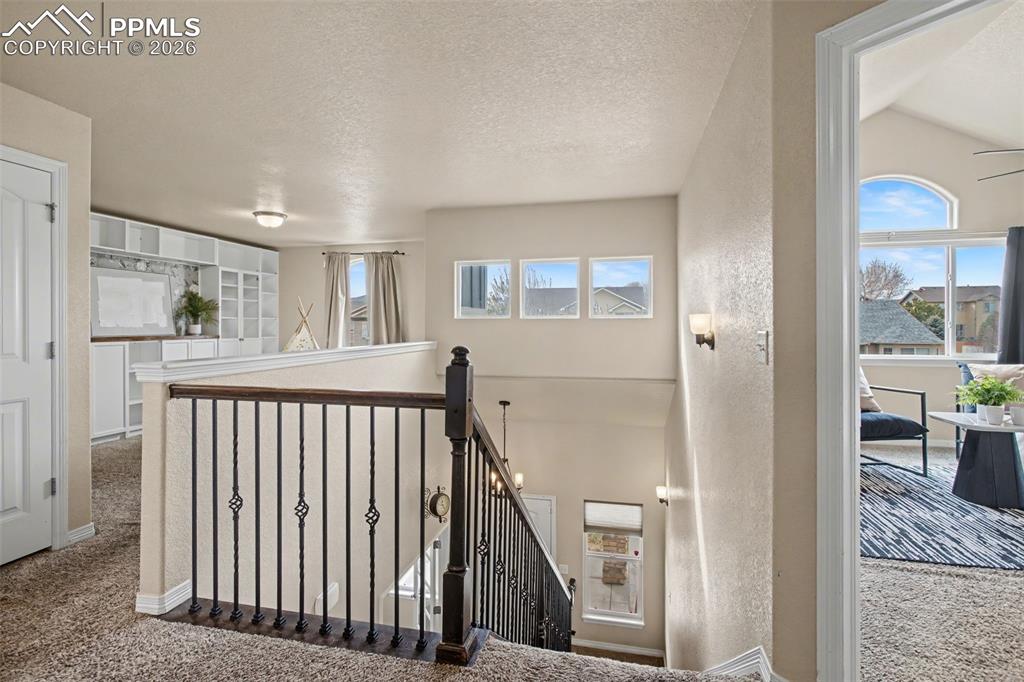 Image 19 of 47: Other