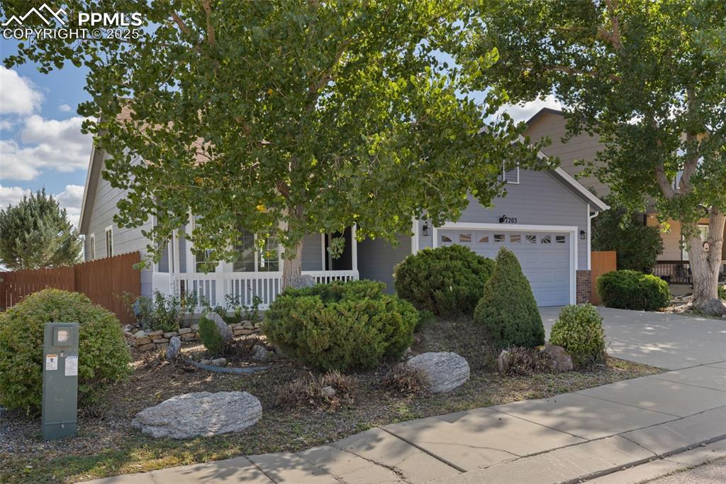 Image 47 of 50: Mature trees add to the shade and charm.