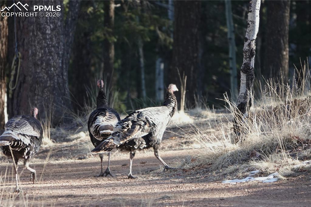 Image 16 of 21: Other