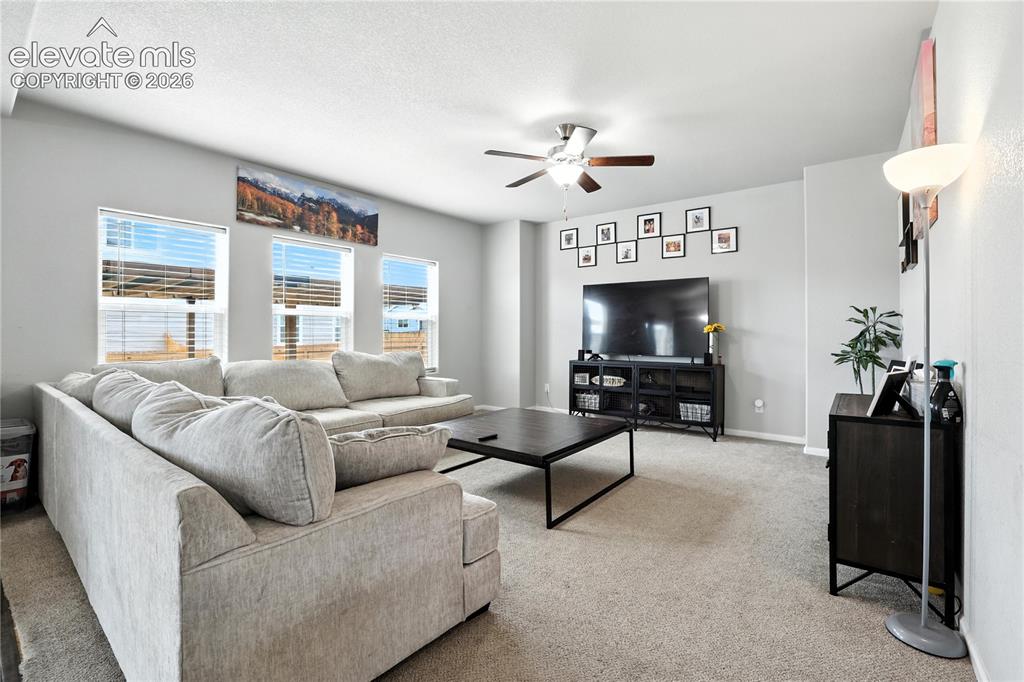 Image 10 of 42: Carpeted living area with neutral wall tones, multiple windows, and a ceili