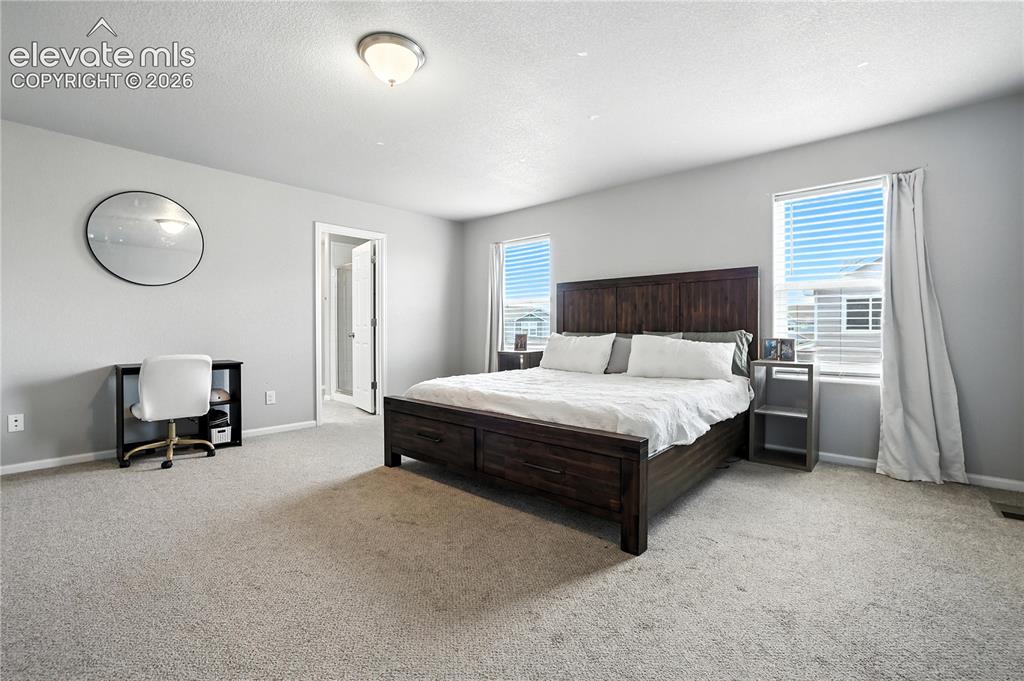 Image 19 of 42: Spacious room featuring neutral carpeting, light gray wall paint, and two w