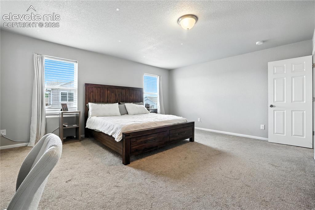 Image 20 of 42: Wall-to-wall carpeting with light gray wall paint, two windows with blinds,