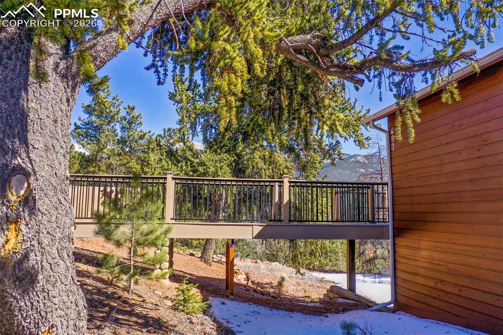 Image 11 of 45: Other