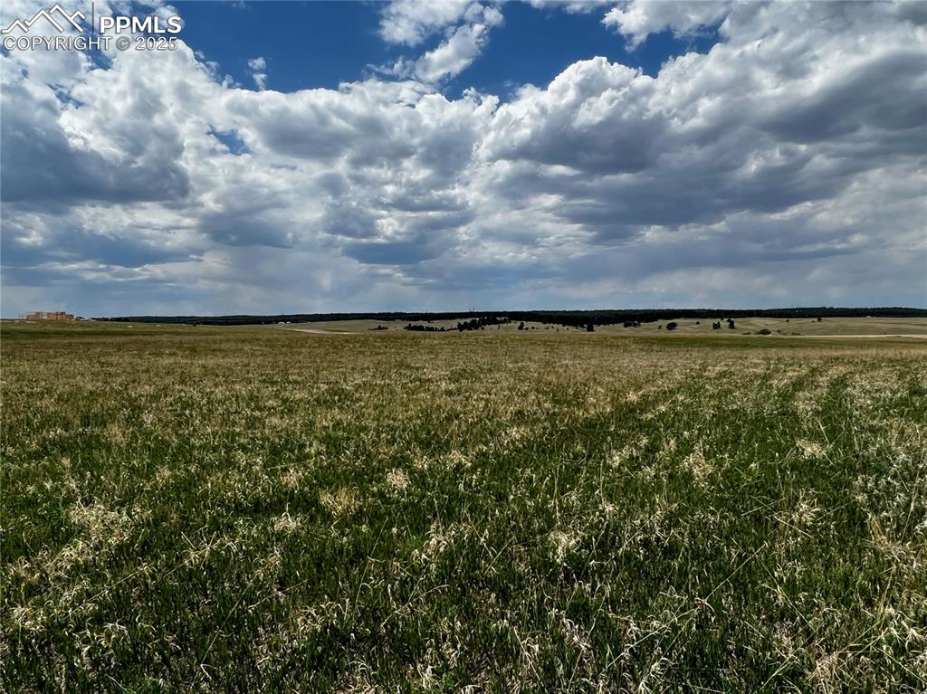 Image 18 of 24: Other