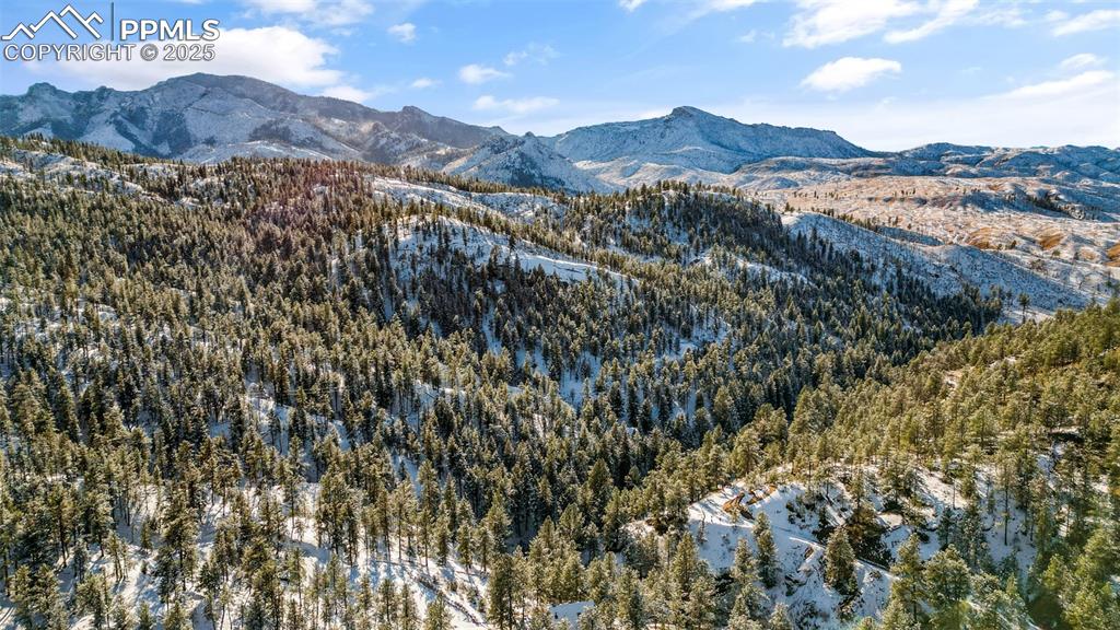 Image 45 of 48: View