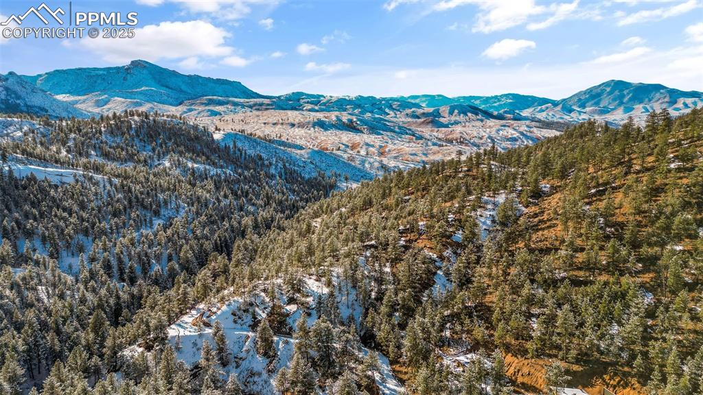 Image 46 of 48: View