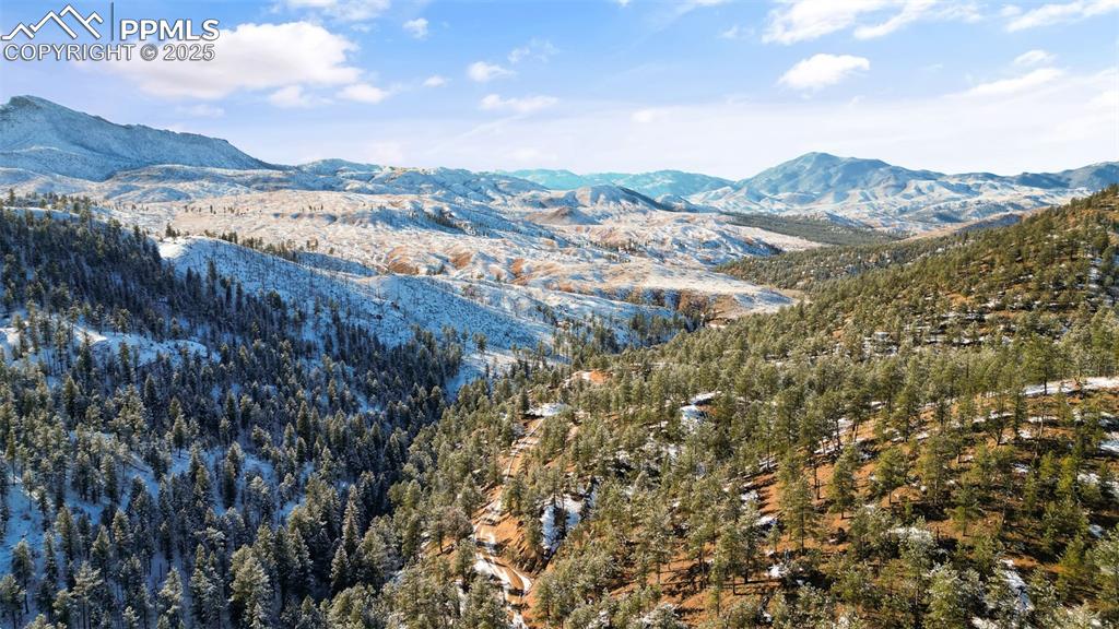 Image 47 of 48: View