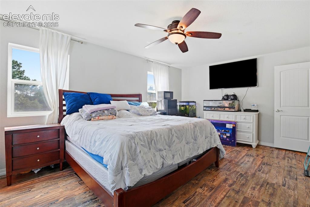 Image 28 of 34: Wood-finish flooring, white walls, multiple windows, white paneled door, an
