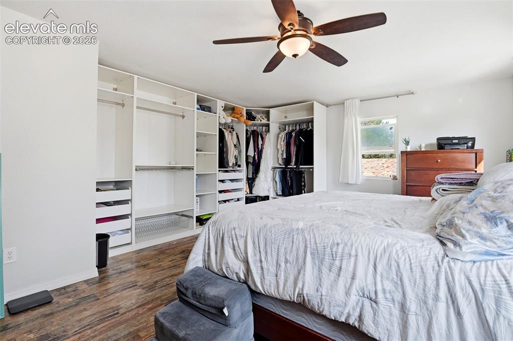 Image 30 of 34: White walls, wood-finish flooring, built-in open closet system, ceiling fan