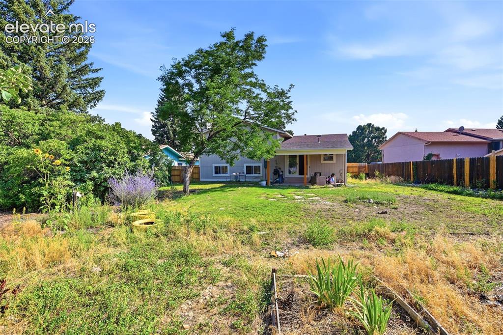 Image 33 of 34: Expansive backyard with a covered patio, established tree, and a varied lan