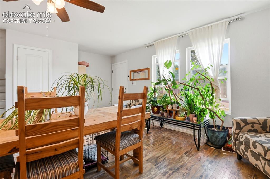 Image 7 of 34: Wood-finish flooring with multiple pane windows, a ceiling fan with light f