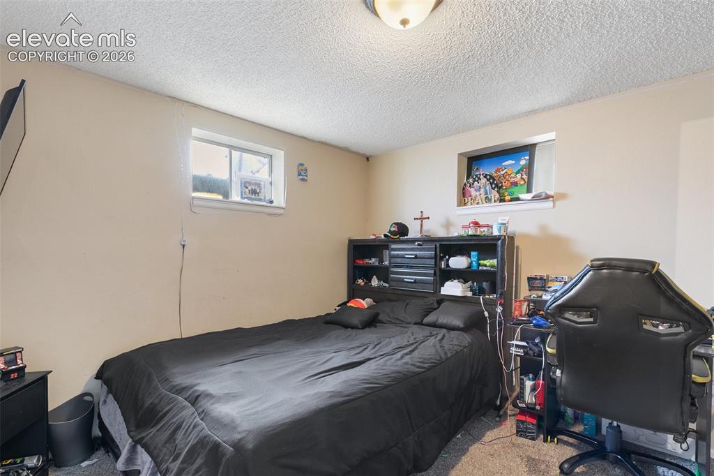 Image 25 of 29: Room featuring beige walls, two windows, and a ceiling-mounted light fixtur