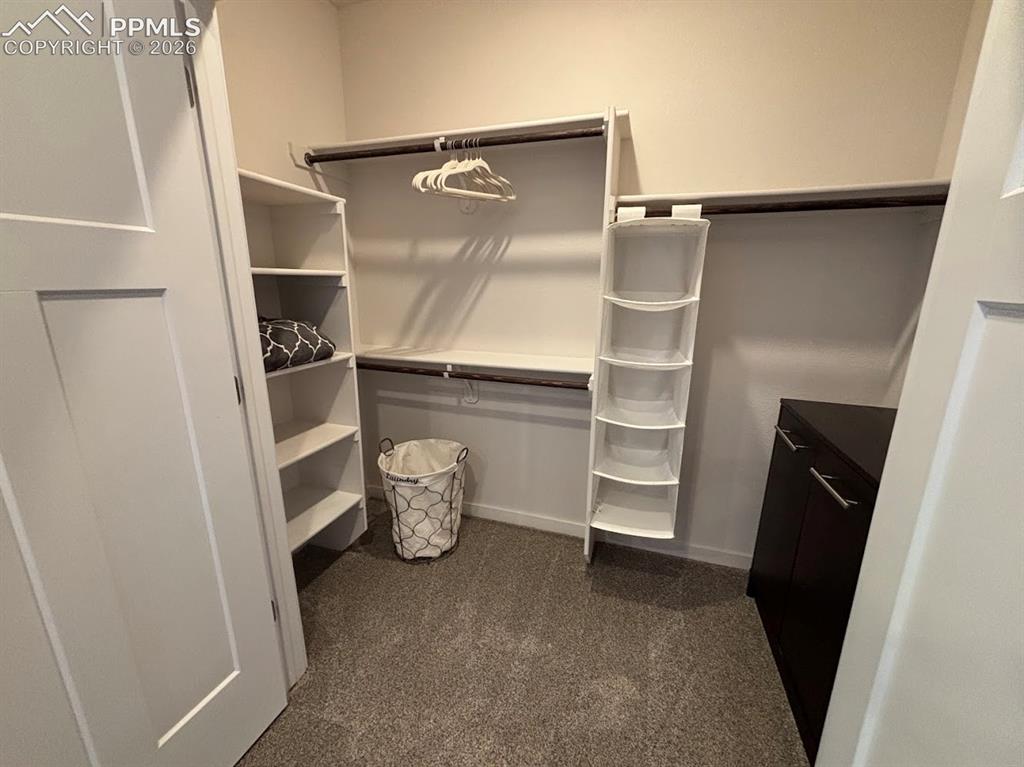 Image 28 of 49: Walk in closet with dark colored carpet