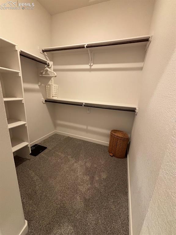 Image 33 of 49: Walk in closet featuring dark colored carpet