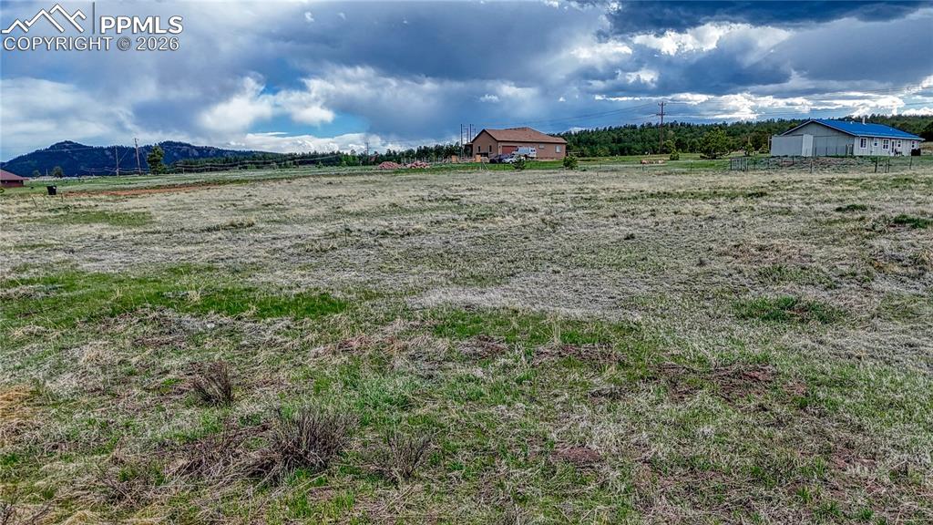 Image 14 of 24: Yard