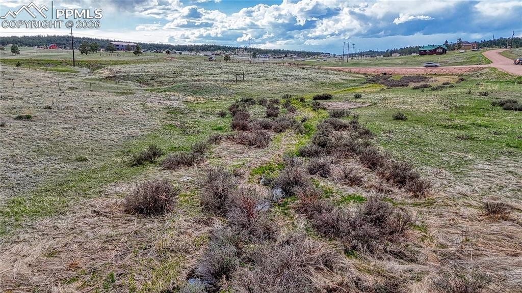 Image 15 of 24: Other