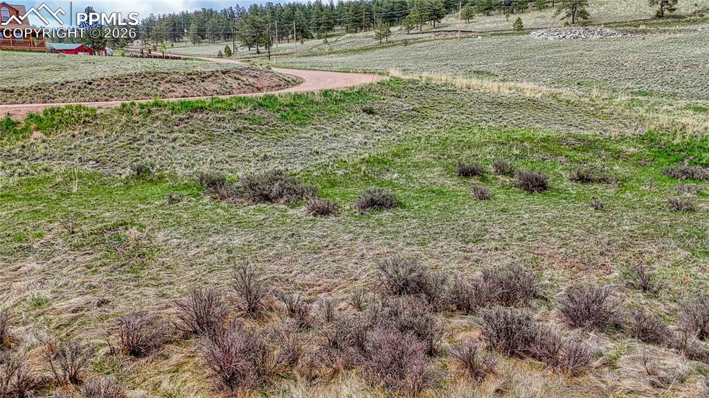 Image 20 of 24: Yard