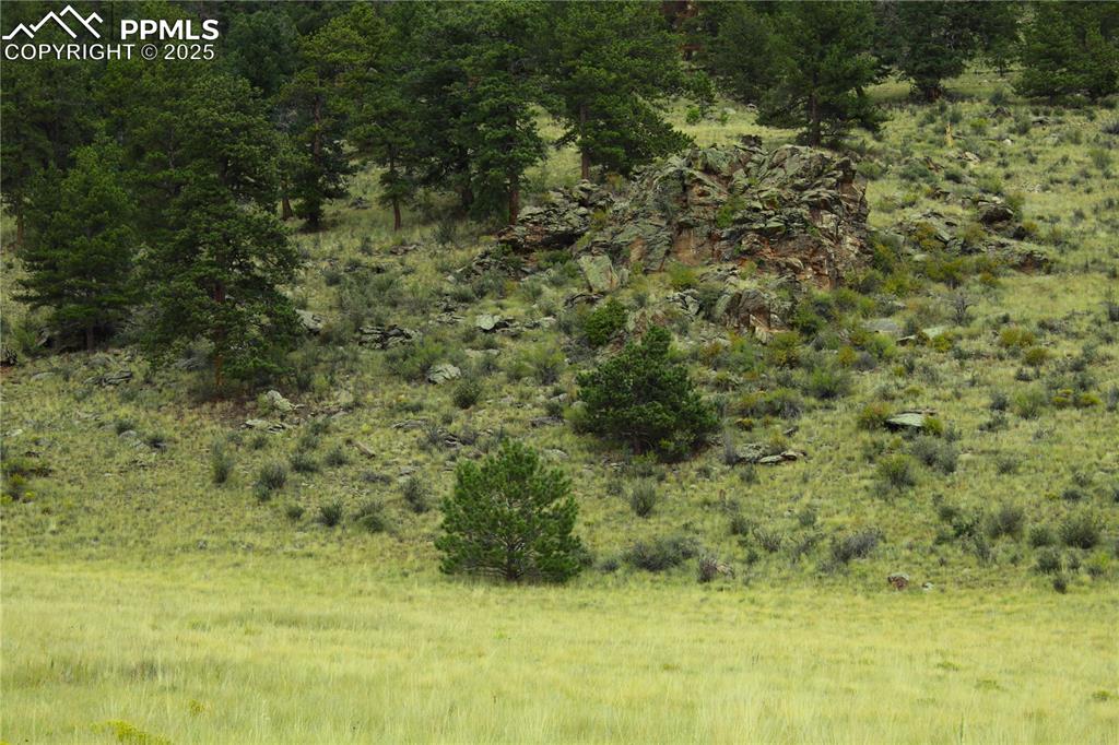Image 10 of 13: View of local wilderness